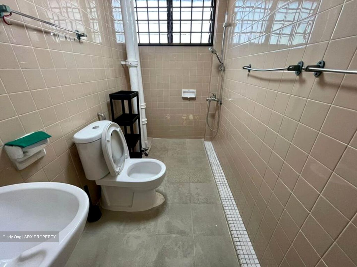 Laguna Park (D15), Apartment #521909111